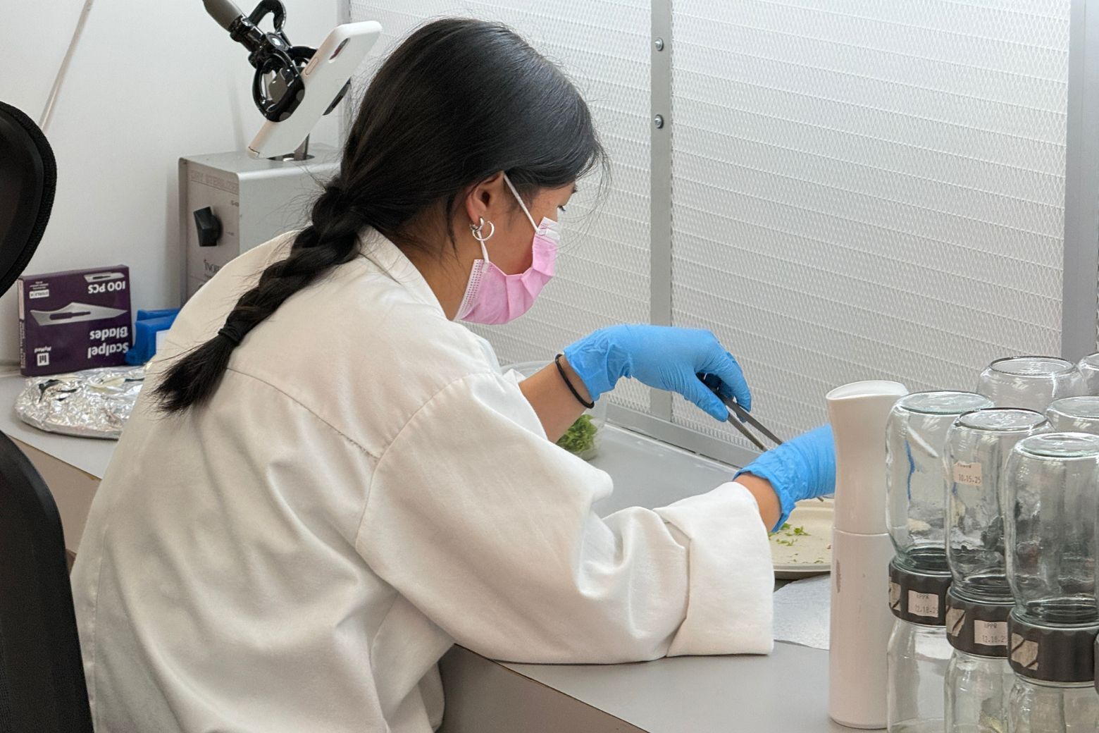 researcher in plant lab