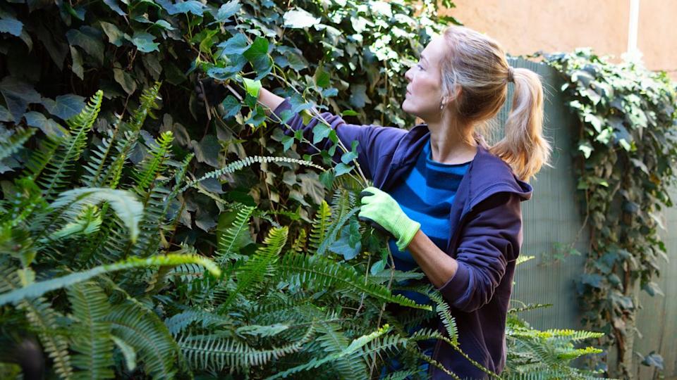 Woman gardening, which counts as one exercise type that can improve longevity .