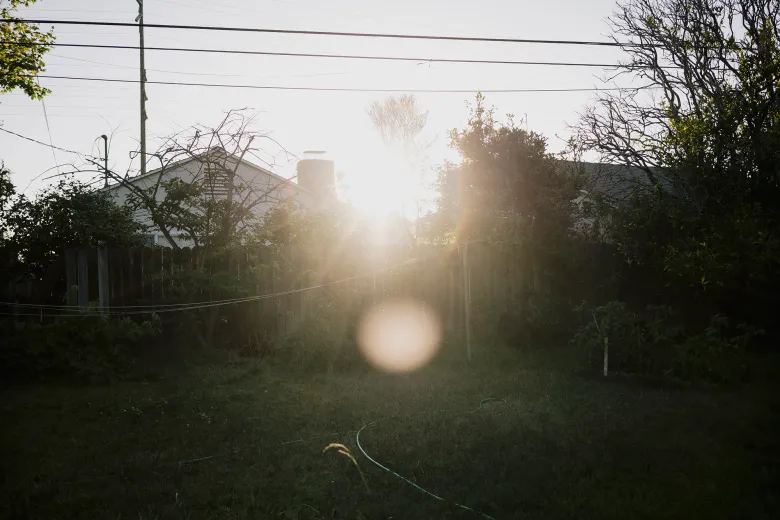 Low sun shines over a fenced backyard with overgrown grass, trees, and power lines, creating lens flare across the scene.