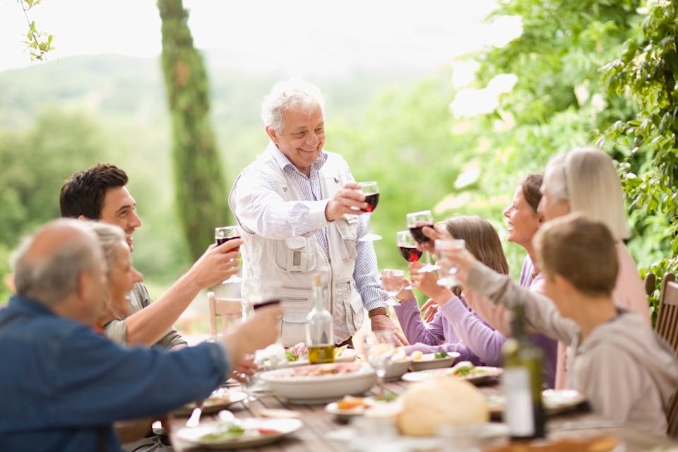 a group of family toasting with classes of wine at a dinner outside