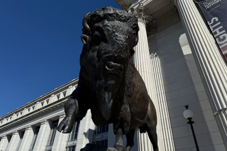 The burly bronze bison busts are a gift to commemorate the nation’s 250th anniversary and are being displayed ahead of major bison exhibits set to debut later this year.