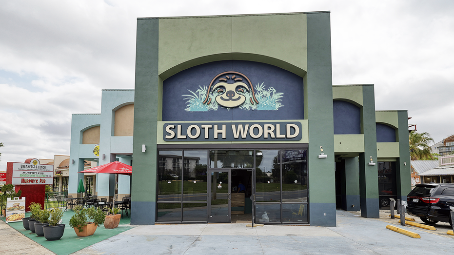 Sloth World
