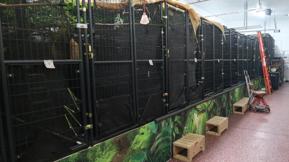 Sloth cages at Sloth World