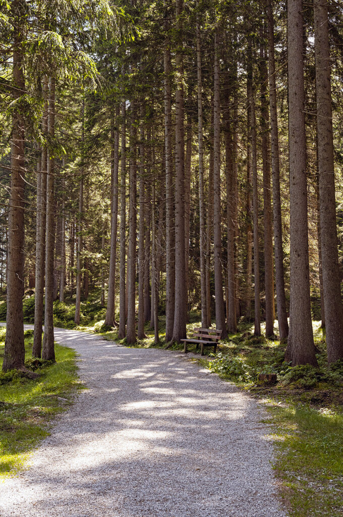 Trail along Wildsee Seefeld Austria