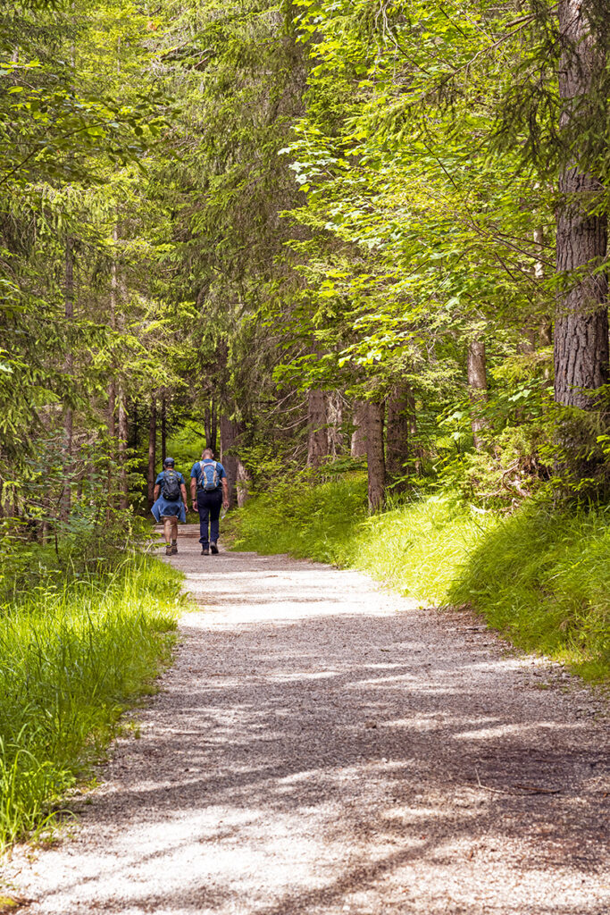 Trail by Wildsee Seefeld trail